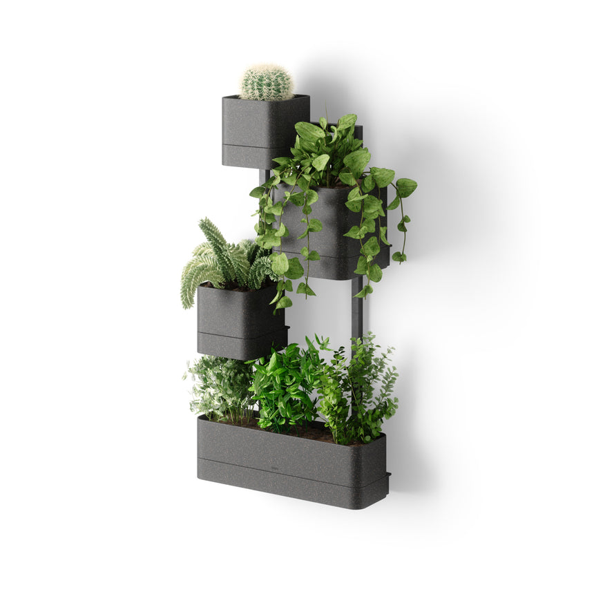 Wall Planters | color: Black