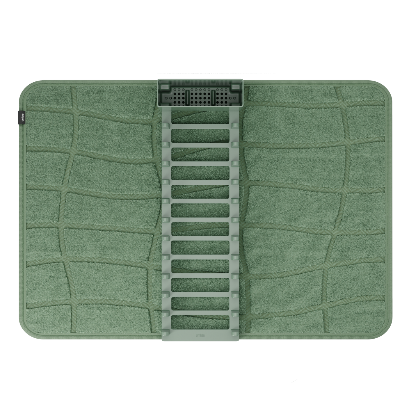 | color: Spruce
