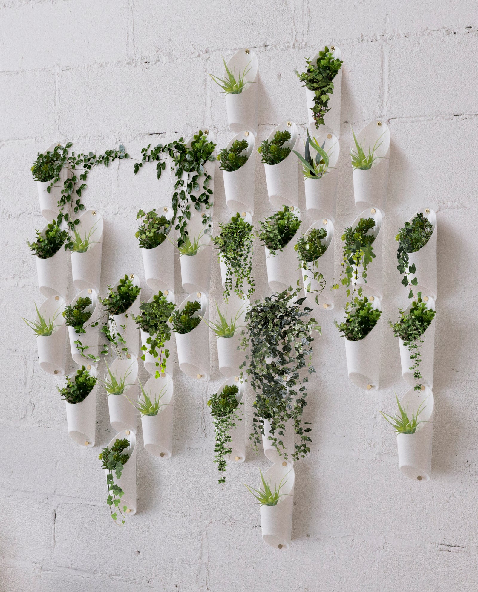 Gift Guide For: The Green Thumb