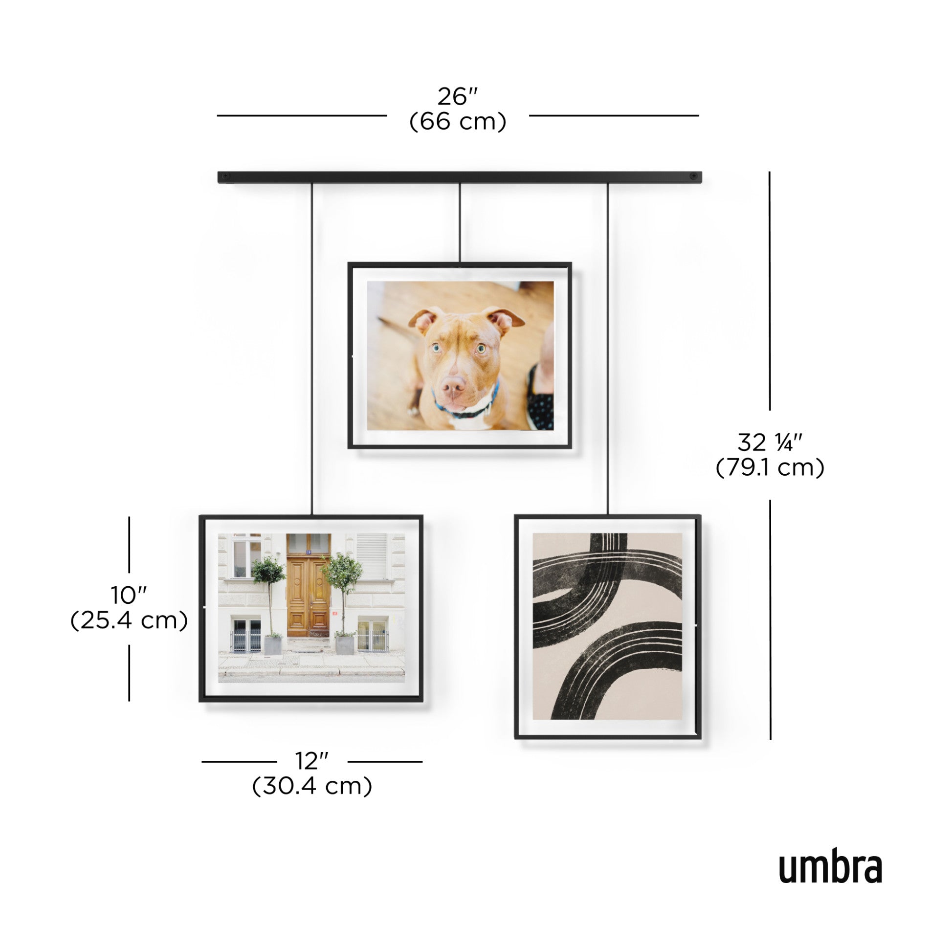 Umbra Exhibit Wall Picture Frames - Thumbnail 5