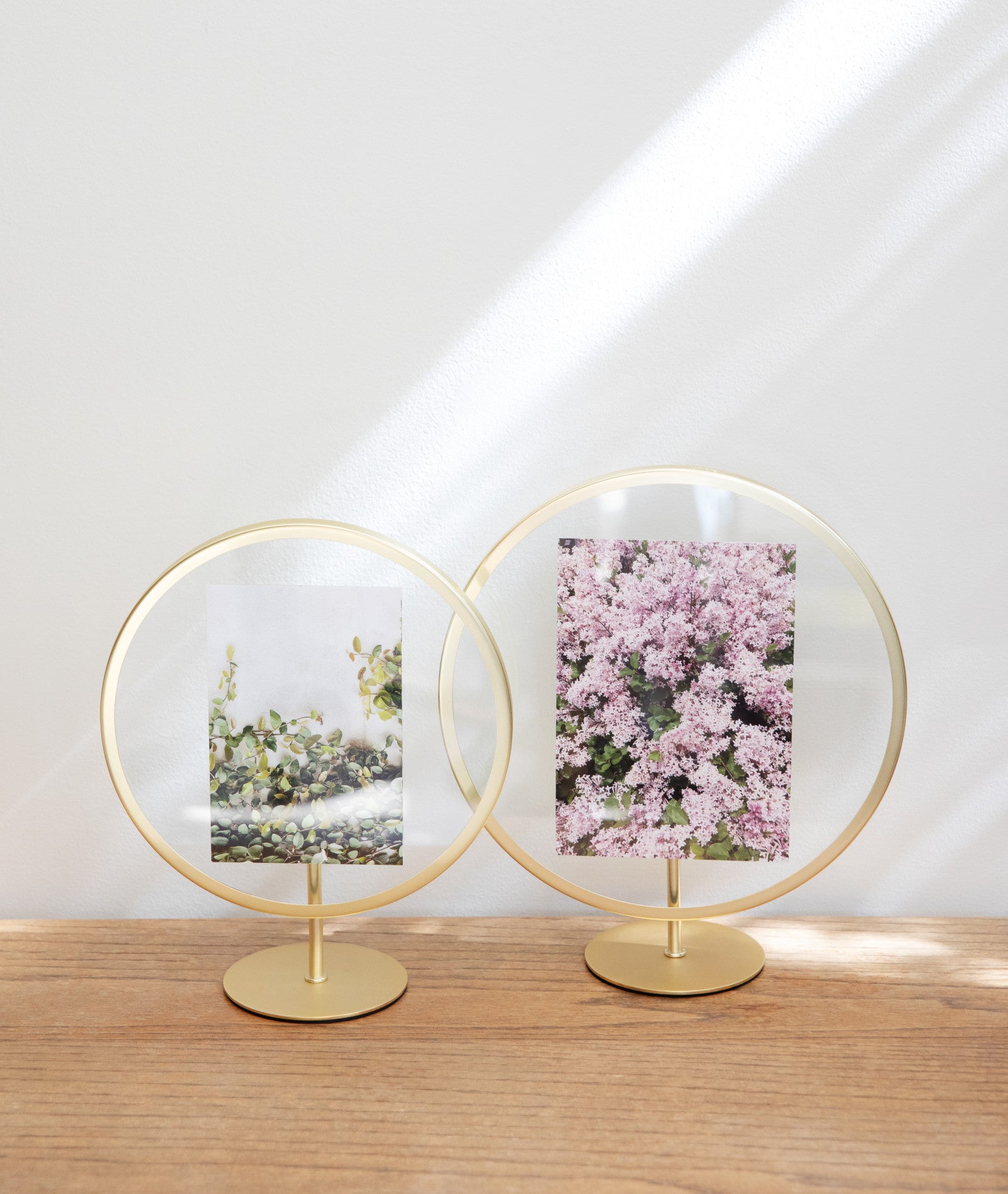 umbra 写真飾り Infinity Picture Frame - Modern Art Display | Umbra