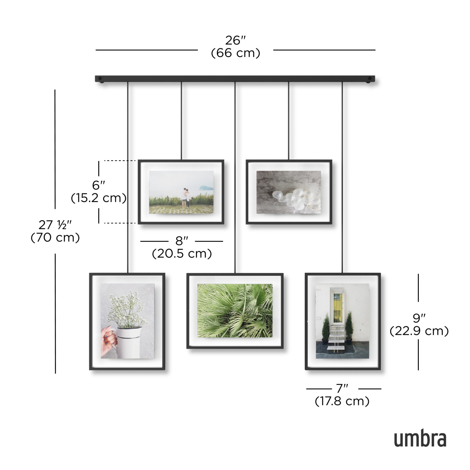 Exhibit Hanging Photo Display, Set of 5 | Umbra