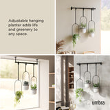 triflora hanging planter umbra Modern Hanging Planter | Triflora Wall Planter