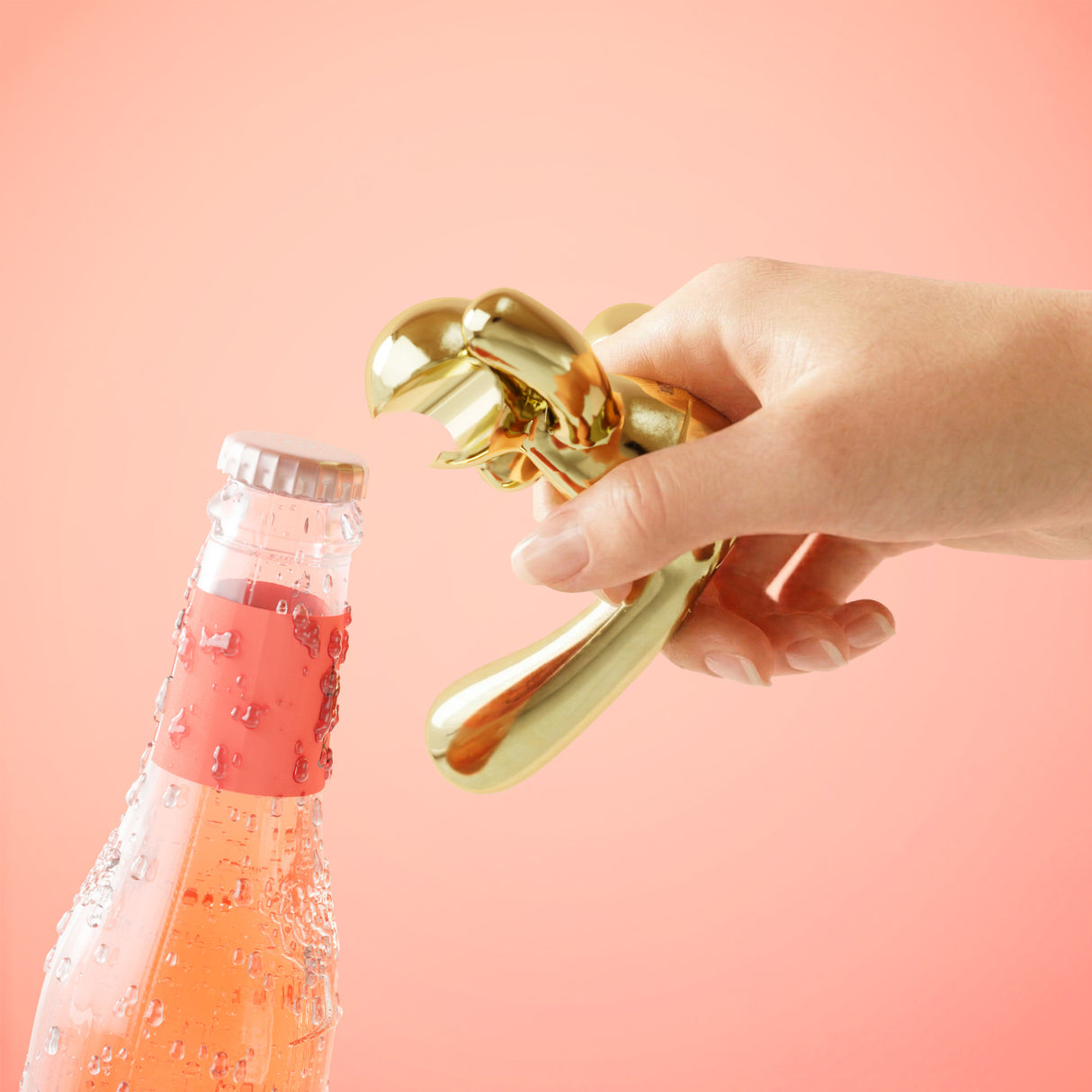 Barware & Tea Infusers | color: Brass | Hover