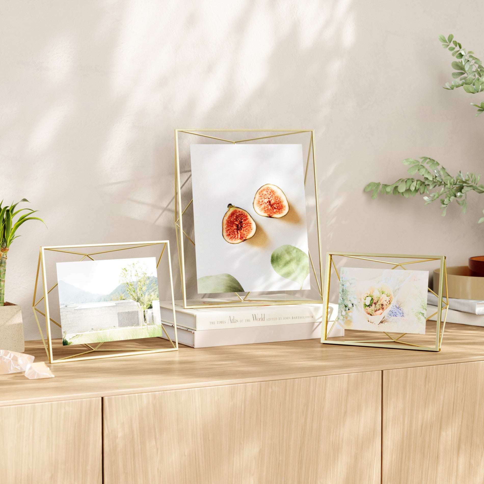 Modern Picture Frame | Prisma - Showcase Your Memories - Umbra