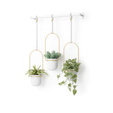 Hanging Planters | color: White-Brass