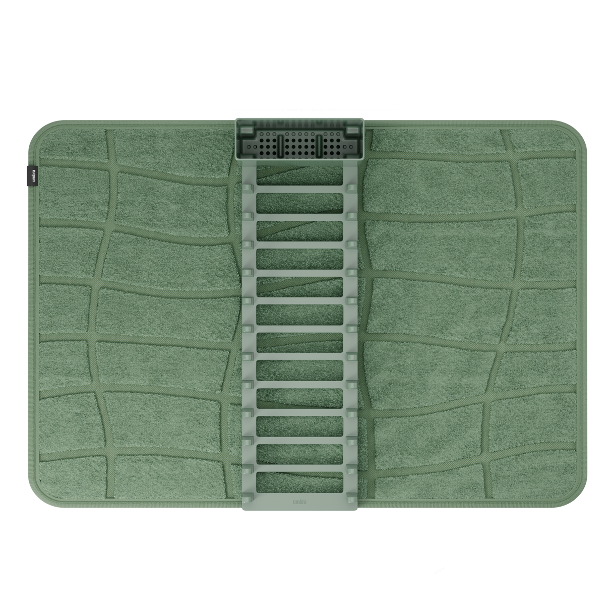 | color: Spruce