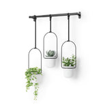 Hanging Planters | color: White-Black