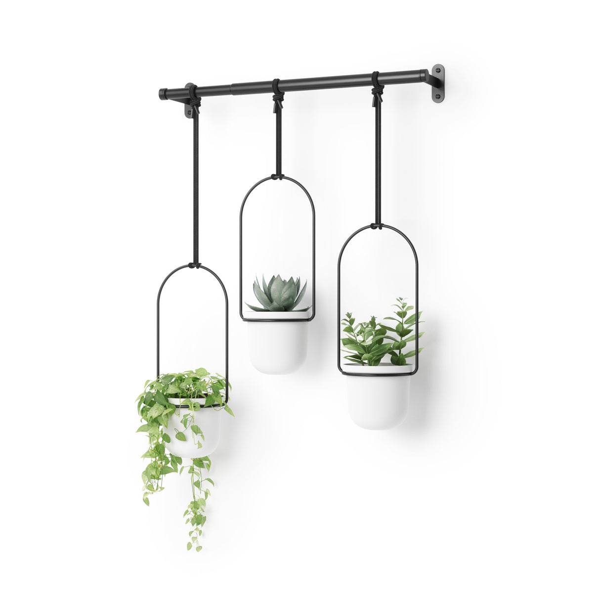 Hanging Planters | color: White-Black