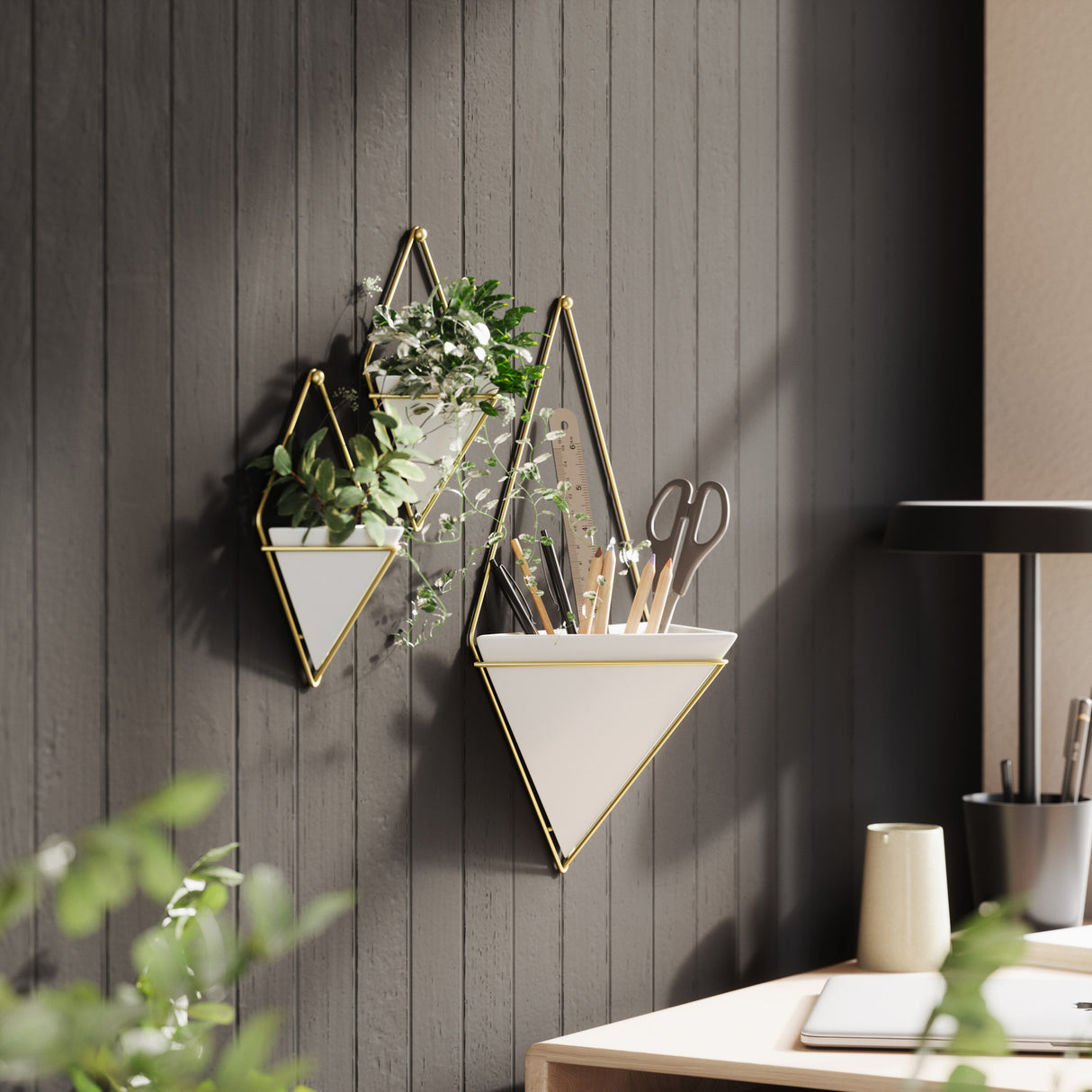 Wall Planters | color: White-Brass | https://player.vimeo.com/video/176224842