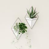 Wall Planters | color: White-Nickel