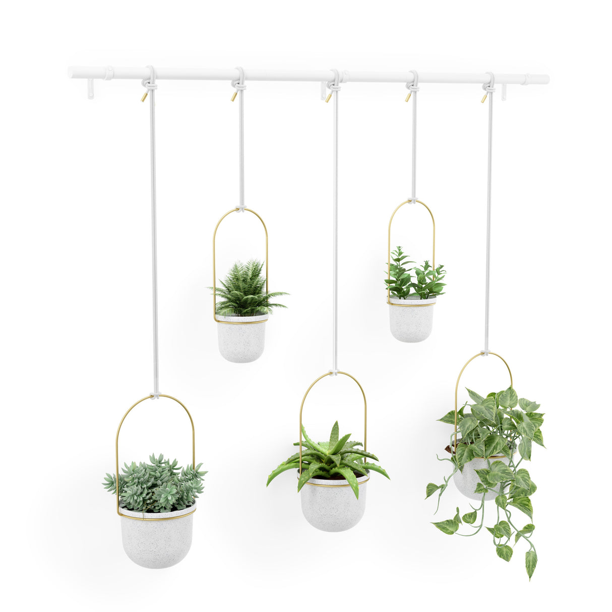 Triflora Large Hanging Planter  Modern Indoor & Outdoor Planter Set – Umbra